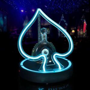 A multicolor LED bottle holder