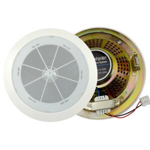 ceiling Spearker 10w